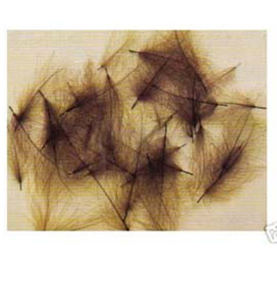 CDC feathers bulk